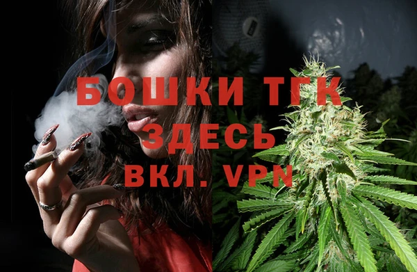 шишки Бородино