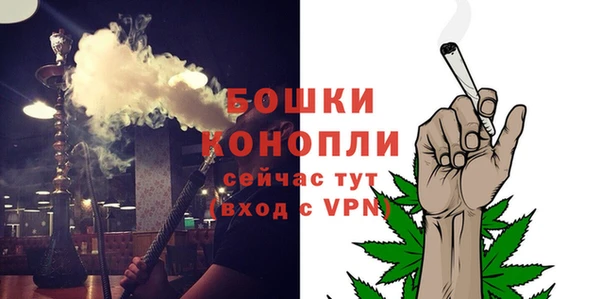 шишки Бородино