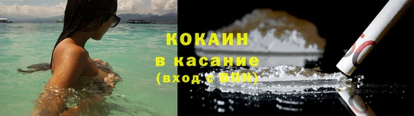шишки Бородино