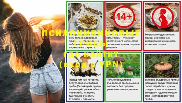 шишки Бородино