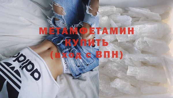 шишки Бородино