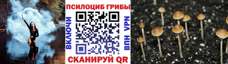 Галлюциногенные грибы ЛСД  нарко площадка телеграм  Геленджик 